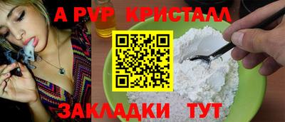 apvp Кингисепп