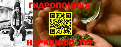 соль ск Кимры