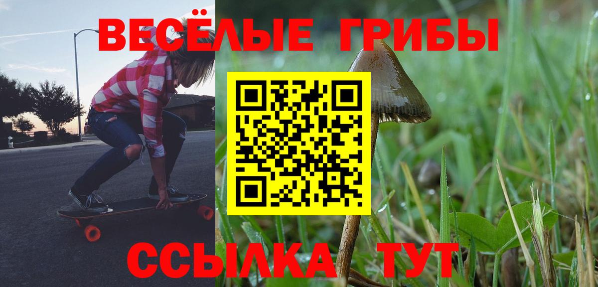 Псилоцибиновые грибы Cubensis Кудымкар